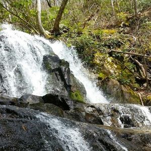 Meet your Posher, Shawn